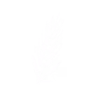 Potts - Icon - Malz Weiss 2026.05.20
